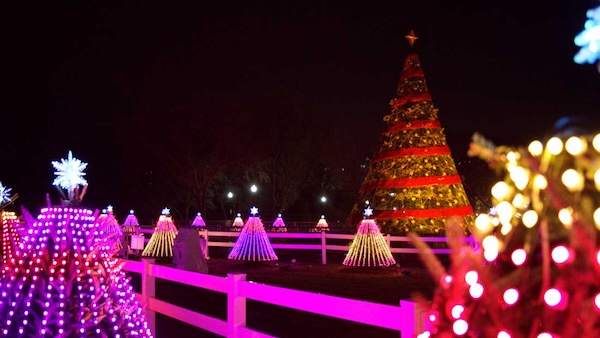 Holiday Lights